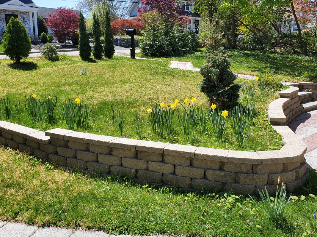 Front Yard Landscape